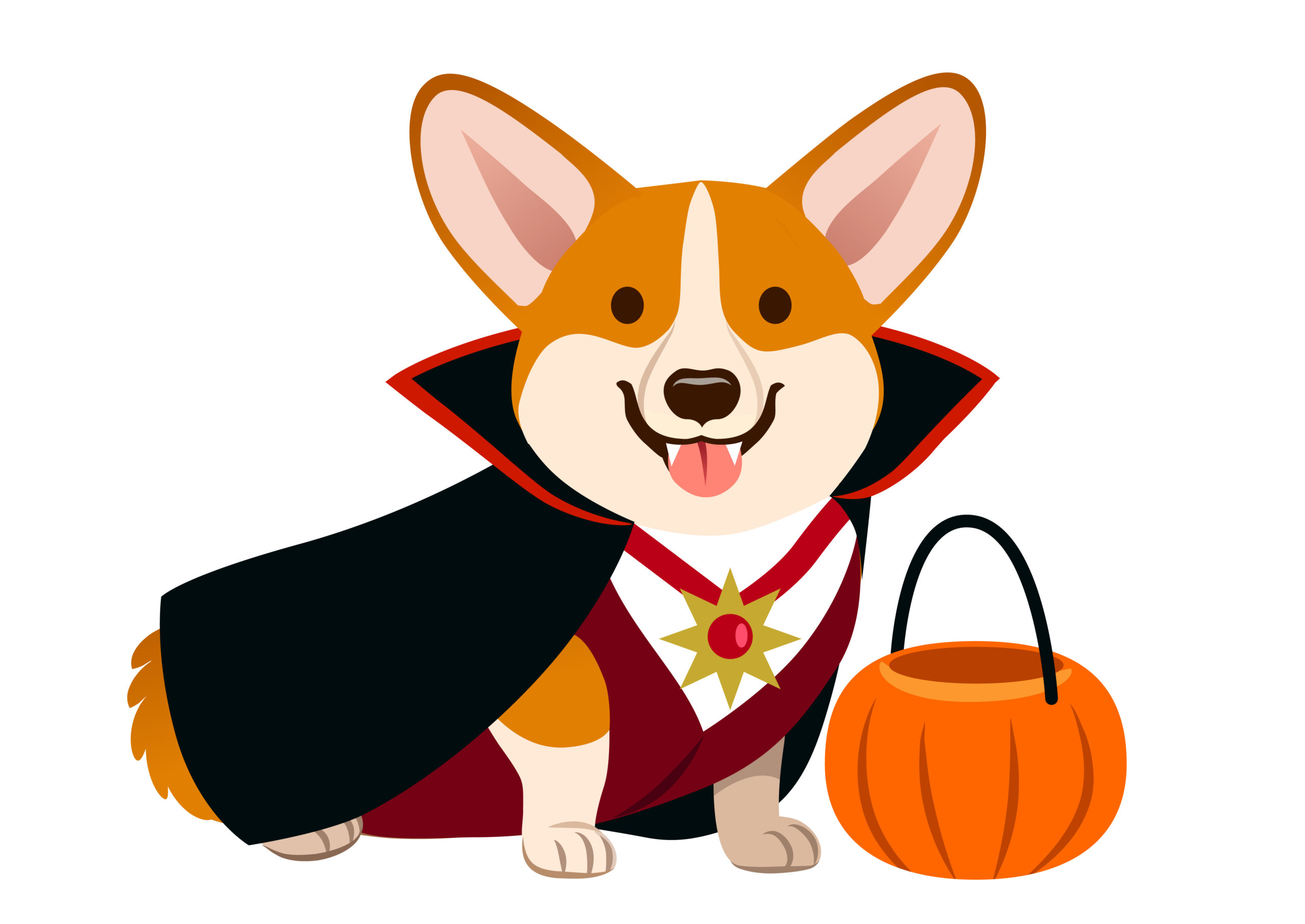 Corgi dog wearing vampire Halloween costume with black cape, fan