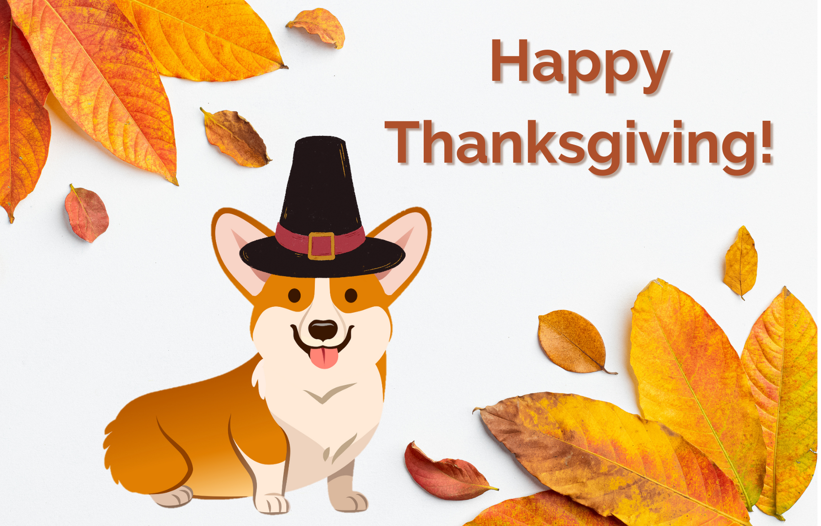 thanksgiving activities blog header corgi with a pilgrim hat