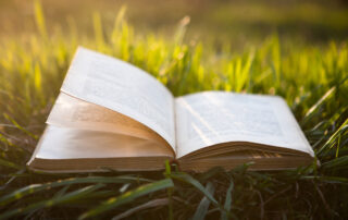 Open book on grass under the sun